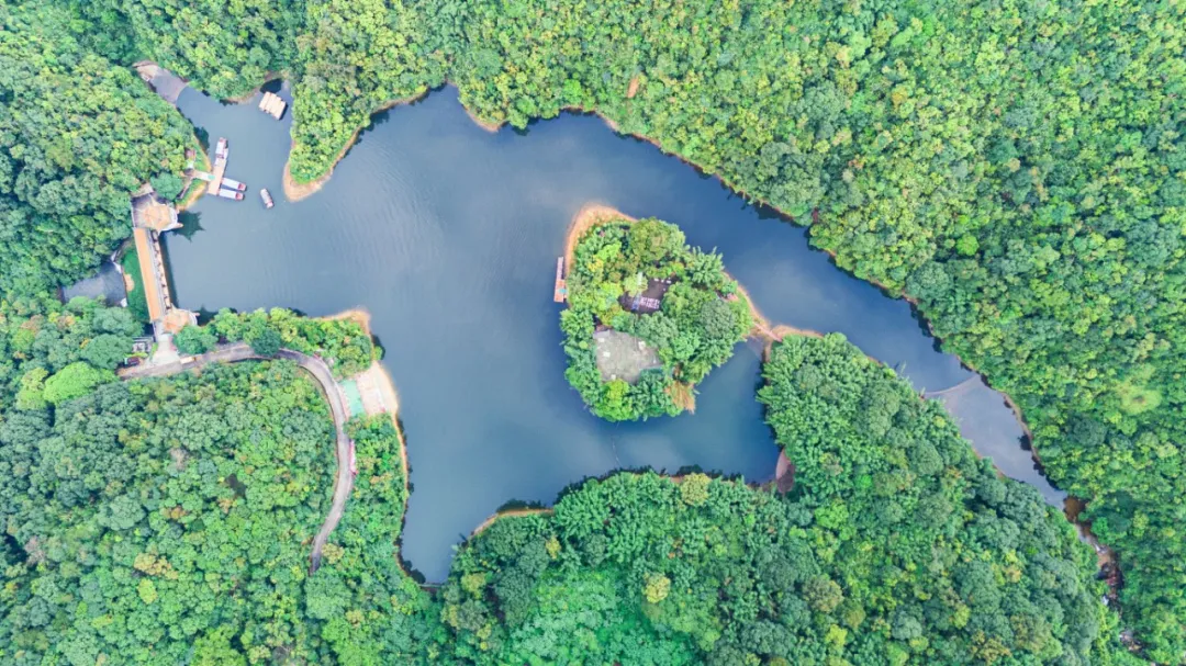 DJI_20260630161533_0078_D.jpg